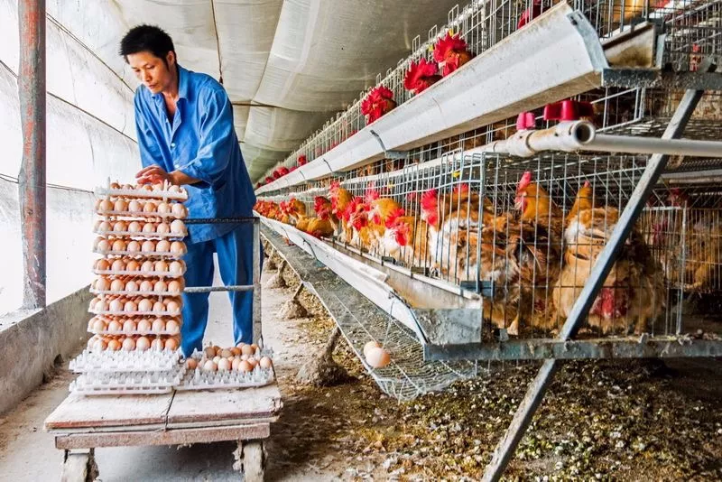 圖片關(guān)鍵詞 圖片關(guān)鍵詞